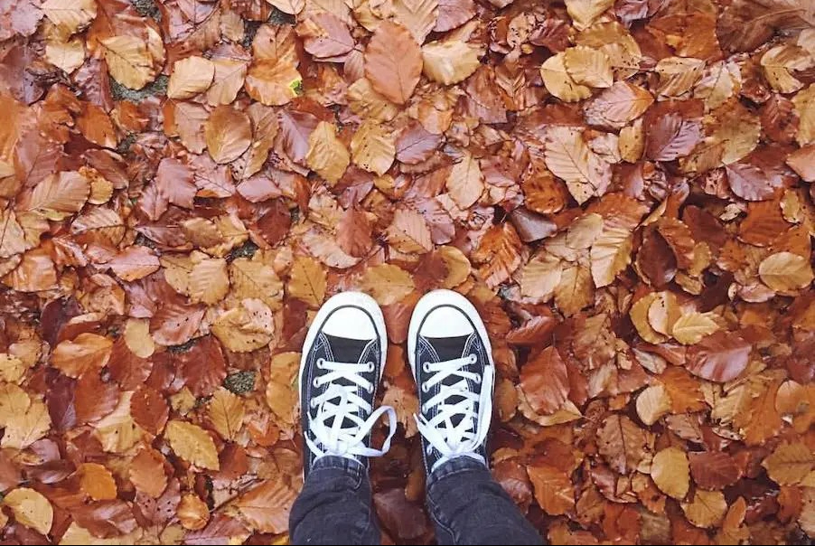 22 reasons I’m impatiently waiting for autumn to arrive
